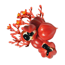 Тутти-фрутти|Hardenergy